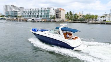 Private 40" Sea Ray Charter for up to 12 People in Fort Lauderdale/Miami