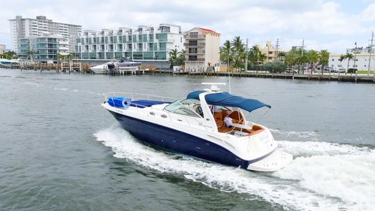 Frete Sea Ray privado de 40" para até 12 pessoas em Fort Lauderdale/Miami