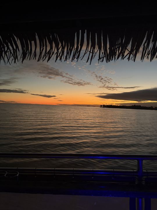 🌴 ¡Vive el paraíso con Tropical Tiki Tours en Marco Island, FL! 🌴