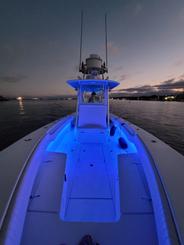 Best Ride in town. Bay Tour, Sunset/Dolphin Cruise, Fishing Charter...