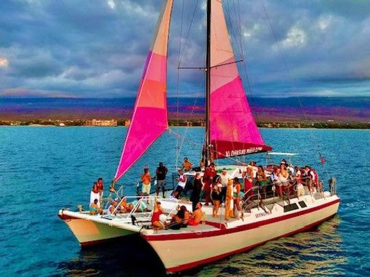 49 tours, snorkel, catamarán de observación de ballenas 