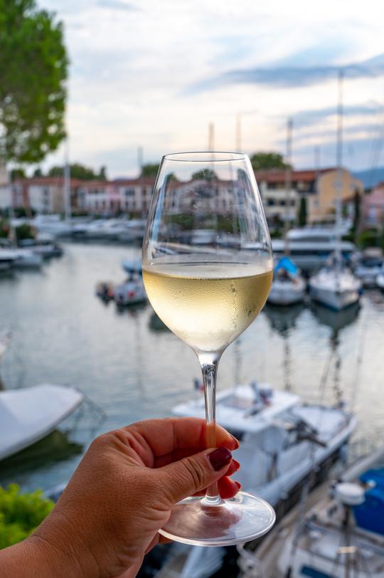 Wine Tasting Sunset Luxury Yacht Cruise in Charleston SC