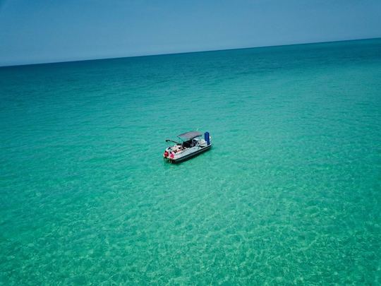 Private Pontoon Tours for up to 6 People, Captain included, Clearwater Beach