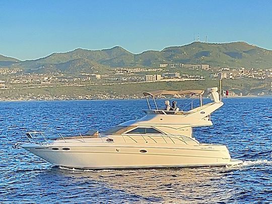 44' Sea Ray Yacht Charter in Cabo San Lucas, Mexico