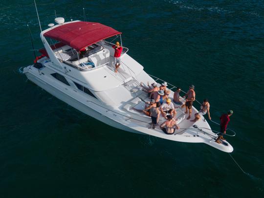 BAR.CO | SeaRay 44ft Beatuful Yacht para quem procura diversão e aventura.