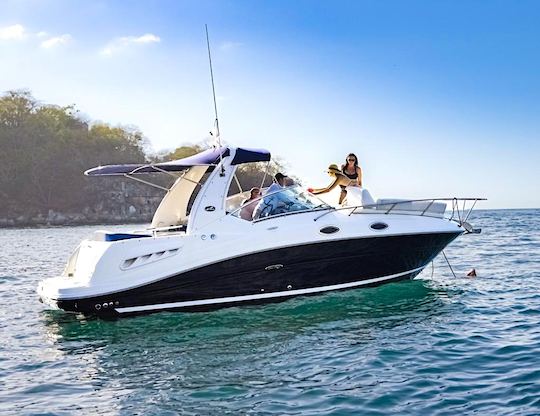 260 yates informales Sundancer con la mejor relación calidad-precio en Puerto Vallarta