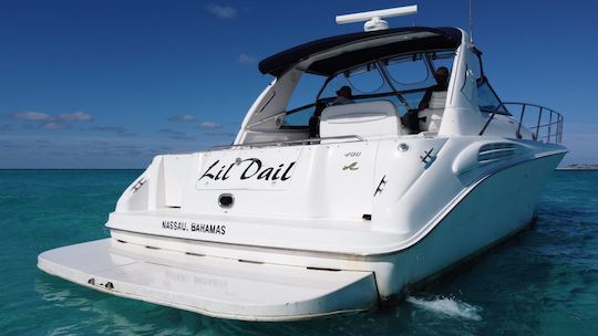 Day charter around Nassau with lunch and unlimited Bahamian rum punch