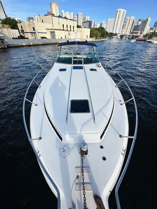 Rent this beautiful 40ft Sea Ray Sundancer Motor Yacht