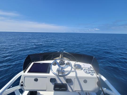 Pêche sportive en haute mer et croisières au port et au coucher du soleil