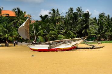 Catamarã navegando ao pôr do sol em Trincomalee, Sri Lanka