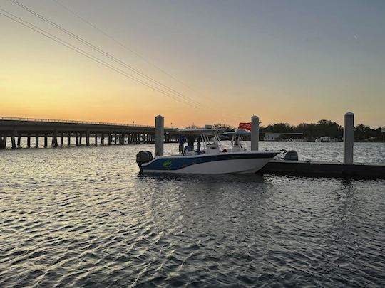 Veteran Owned Boating And Fishing Adventures 26ft Sea Fox Center Console