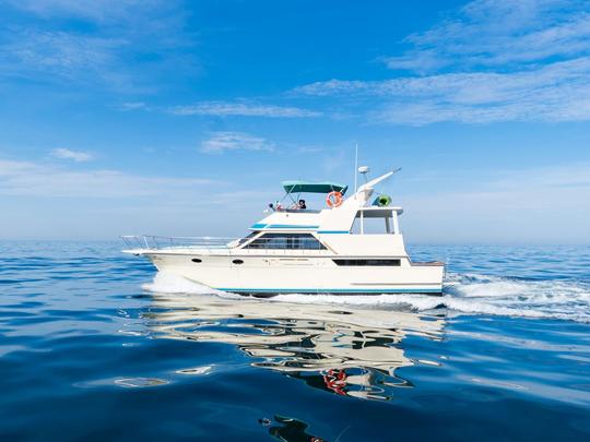 Spacious 50ft Yacht in Puerto Vallarta 🏝 | +18 People 