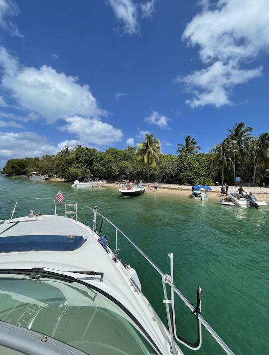 Miami Skyline Swim island /Sandbar Music with legendary Captain Welcome Aboard!