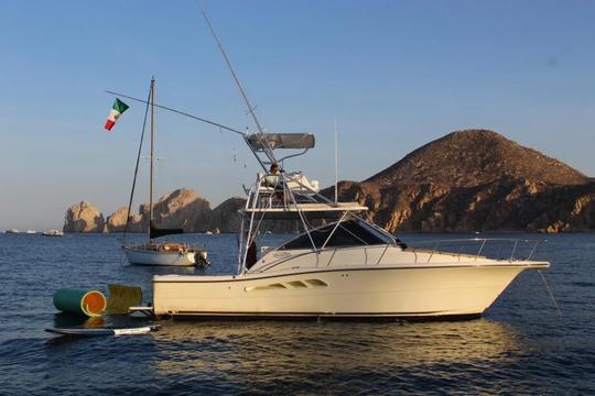 Cabo ideal de 38 pies para un día de crucero o pesca deportiva.