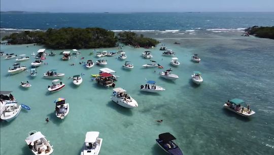 Sea Ray Sundancer 28' pouvant accueillir jusqu'à 8 personnes à Lajas