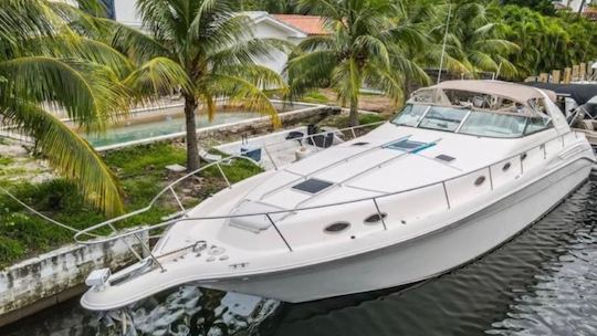 50’ SeaRay Private Yacht Charter — Free Hour & Free Jet Ski Weekday Promos! 