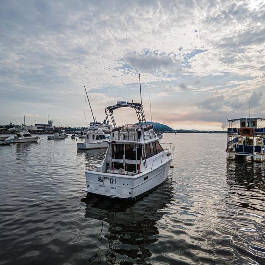 Iate Viking de 36 pés e carta de pesca esportiva em Mazatlan