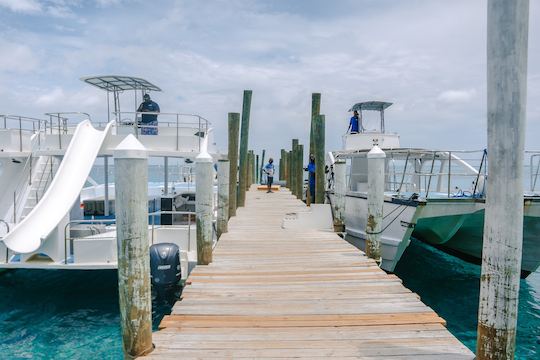 Private Charter Adventure  53 Catamaran Rental