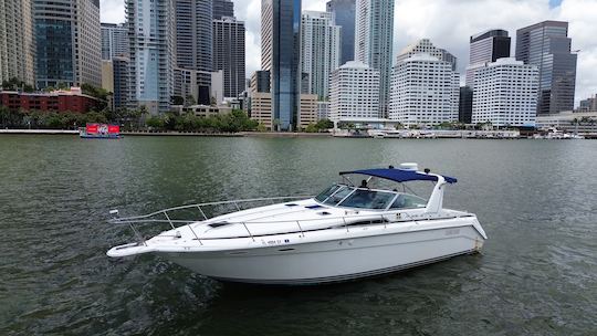 Rent this beautiful 40ft Sea Ray Sundancer Motor Yacht