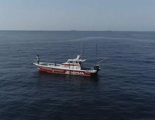 Pesca costeira no oceano tranquilo de Izu. Traga seu peixe fresco e jante aqui!!