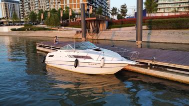 Rent A Speedboat With A Skipper To Discover Belgrade From The Rivers 