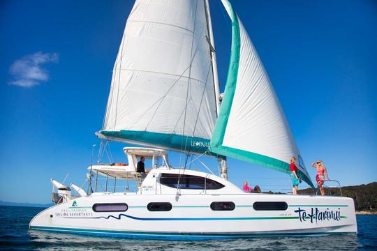 Catamarã à vela Leopard 46 - fretamento privado com capitão