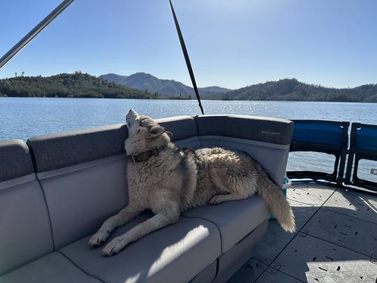 Sea-Doo Switch no belo Lago Shasta