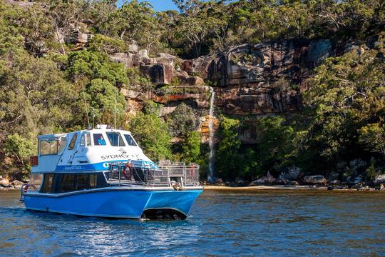 Catamaran de 50 pieds pouvant accueillir jusqu'à 50 personnes