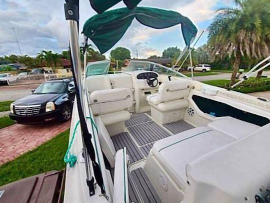 1999 Searay 2015 エクスプレスクルーザーレンタル（ブロワードカントリー）