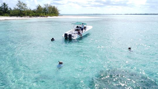 Explorez les magnifiques îles des Bahamas