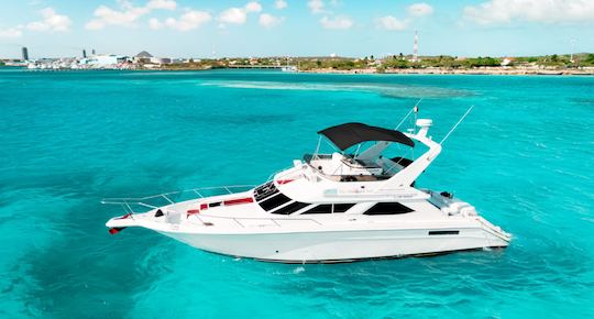 Aluguel de iates particulares de luxo em Aruba | Sea Ray 440 Express Bridge