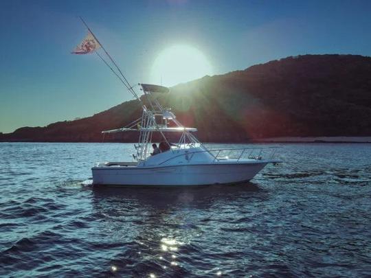 Luhrs 34ft Sportfishing Yacht for up to 10 people in Mazatlan