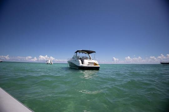 Enjoy a VIP Sea Ray Yacht Tour in Punta Cana