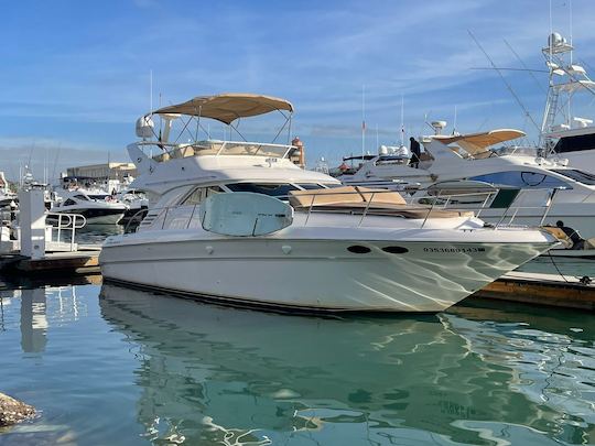 45 Sea Ray Flybridge disponibles à la location à Cabo San Lucas 