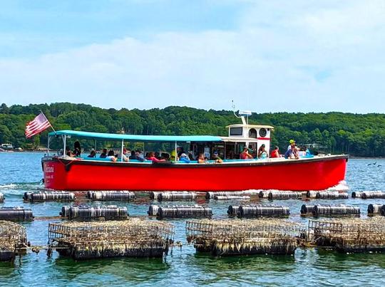 Découvrez la rivière Damariscotta où 80 % des huîtres du Maine sont cultivées