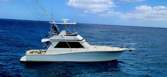 Fishing Adventures Aboard Our Fully-Renovated 48-Foot Viking Sport fisher