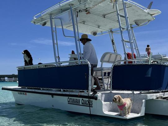  CRAB ISLAND / Dolphins / Paddleboard ADVENTURE via a Private Captained Pontoon