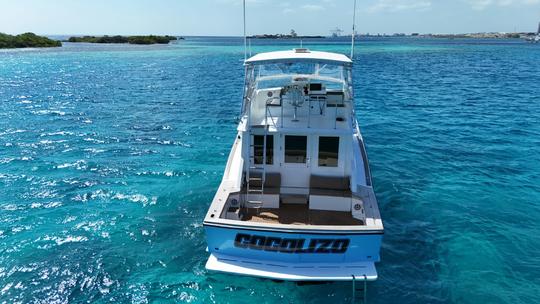 Private 47-ft Luxury Yacht in Aruba 