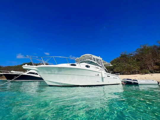 Yacht à moteur Wellcraft 30 dans les îles Icacos et Palomino