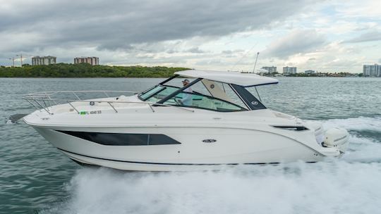 Sea Ray Sundancer de 32 pulgadas de «La bella de los mares»