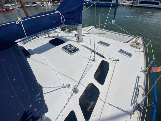 Alquiler de catamarán en la isla de Holbox para hasta 20 personas