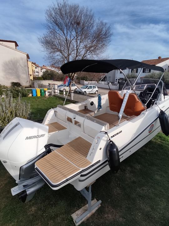 Terrasse Quicksilver Active 755 avec Mercury 250 V8, année 2024.