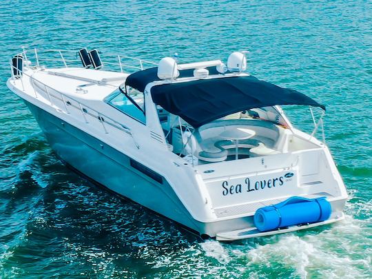 55' SEARAY SUNDANCER em Miami COM 30 MINUTOS GRÁTIS TODOS OS DIAS!