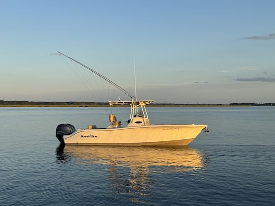 Lowcountry Harbor Cruises and Excursions with 25' Nauticstar Center Console