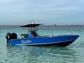 Nasáu: recorrido privado en barco: cerdos nadando, tortugas, esnórquel y playa 