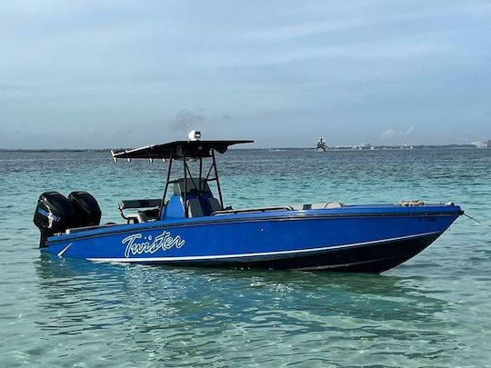 Nassau: passeio de barco privado - Porcos nadando, tartarugas, mergulhando com snorkel e encalhando 