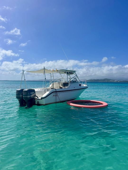 Visitez ICACOS/PALOMINO MAX 6 passagers