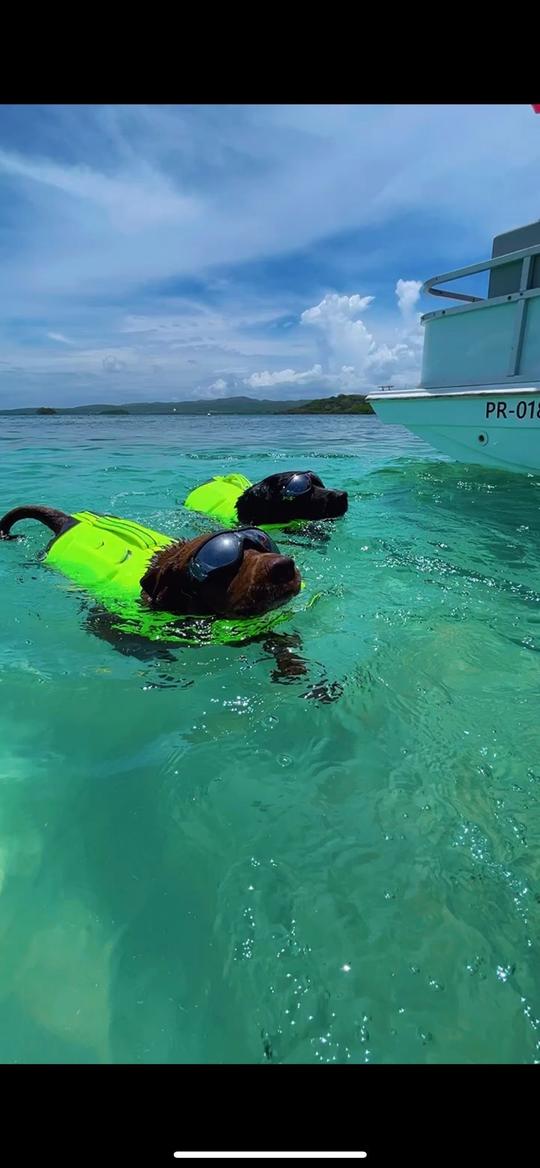 La Parguera Boat Charters 2 Hours minimum with USCG Certified Captain