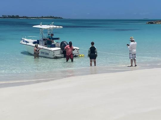 Passeios privados de lazer em Rose Island e Gilligan Island, Swimming Pigs 