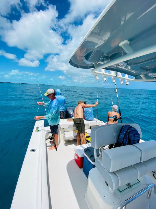 Charters de pesca en Crystal Bay: MEDIO DÍA (4 horas)